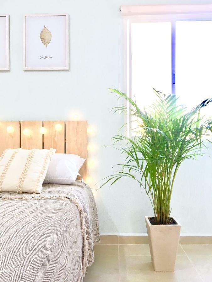 Caraibe Mexicain B2 Apartment แคนคูน ภายนอก รูปภาพ